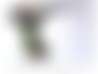 BEING KINETIC IS YOUR LIFELINE TO SUCCESS.