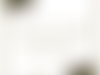 SUPPORT IS THE KEY TO MANIFESTING YOUR WILDEST DREAMS.