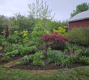 20240510_170549.jpg