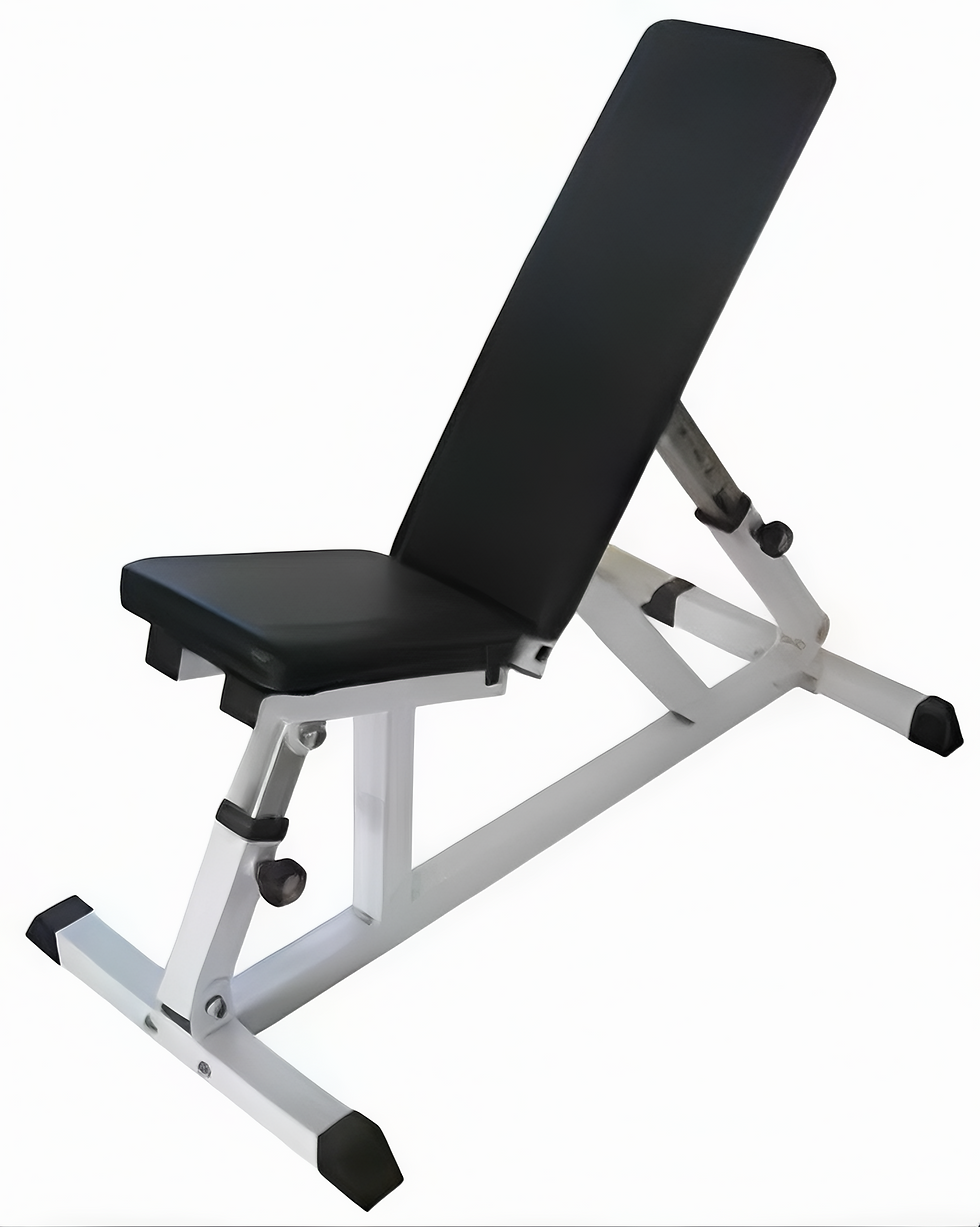 Adjustable Workout Bench