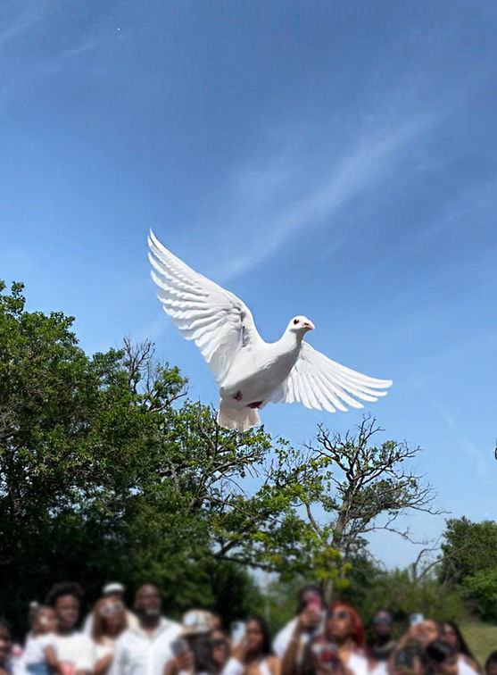 Ready Photo - 13.jpg