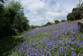 IMG_3720.jpeg