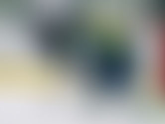 HK Mogo Latvijas čempionāta spēlē zaudē HK Zemgale/LLU