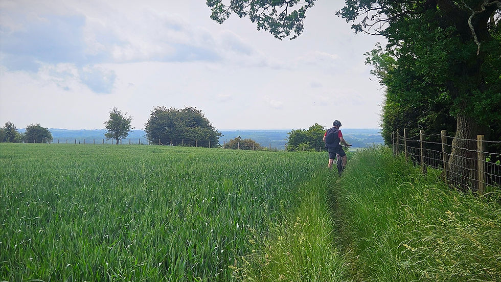 Cyclist in helmet rides through lush green path beside a fence, surrounded by open fields and distant trees under a cloudy sky.