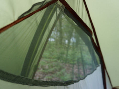 View of a green tent's mesh window with trees visible outside, creating a serene, outdoorsy atmosphere. Light filters through softly.