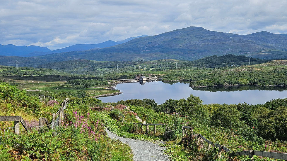 Mountainous landscape with a calm lake reflecting the sky, surrounded by green hills. A trail and pink wildflowers in the foreground.