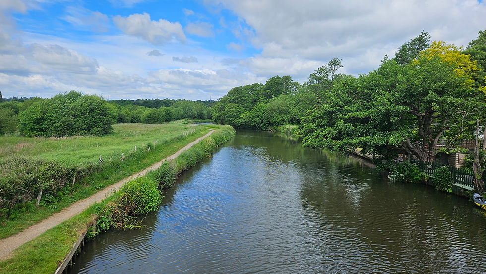 River winding through lush greenery, a dirt path alongside. Blue sky with scattered clouds creates a serene, peaceful atmosphere.