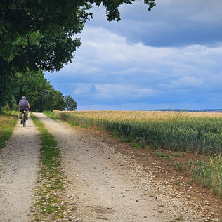 Cyclist on a gravel path surrounded by trees and fields under a cloudy sky. The scene is serene with vibrant greens and blues.