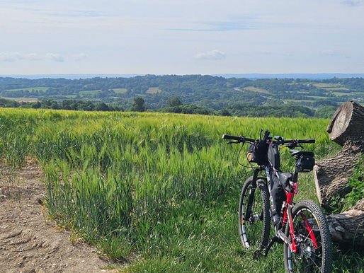 A mountain bike leans against a log in a lush green field. Rolling hills and a bright sky fill the serene background.