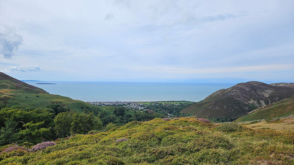 Hilly landscape with green and purple vegetation overlooks a coastal town by the sea under a cloudy blue sky. Tranquil and scenic.