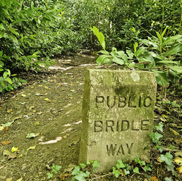 Stone marker reading "Public Bridle Way" on a leafy dirt path surrounded by dense green foliage, creating a serene, natural setting.