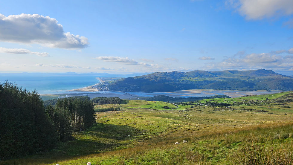 Coastal landscape with green hills, distant mountains, and blue ocean. Sheep graze in the foreground under a clear sky, creating a serene mood.