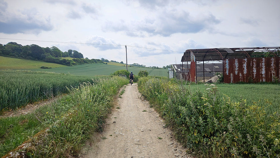 Cyclist on a gravel path amid green fields and overcast sky, passing a rusted, open-sided barn. Vegetation lines the path. Peaceful mood.