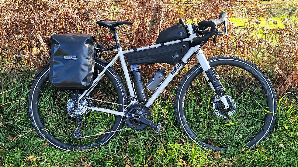 Loaded touring bike with panniers and bottles, parked on grassy ground with brown ferns in background. Bright daylight highlights gear.