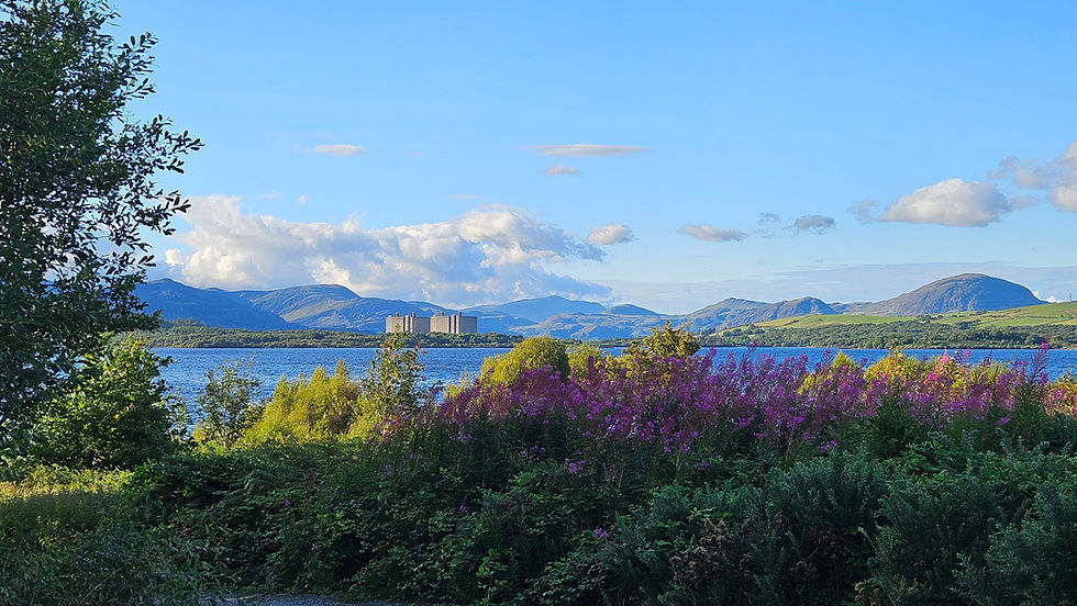 Scenic view of a lake with purple flowers in the foreground, mountains in the background, and a partly cloudy blue sky. Peaceful mood.