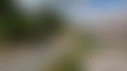 A cyclist on a bike on a gravel trail with a pile of logs in the foreground. Sunny day, creating a peaceful mood.