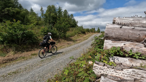 A cyclist on a bike on a gravel trail with a pile of logs in the foreground. Sunny day, creating a peaceful mood.