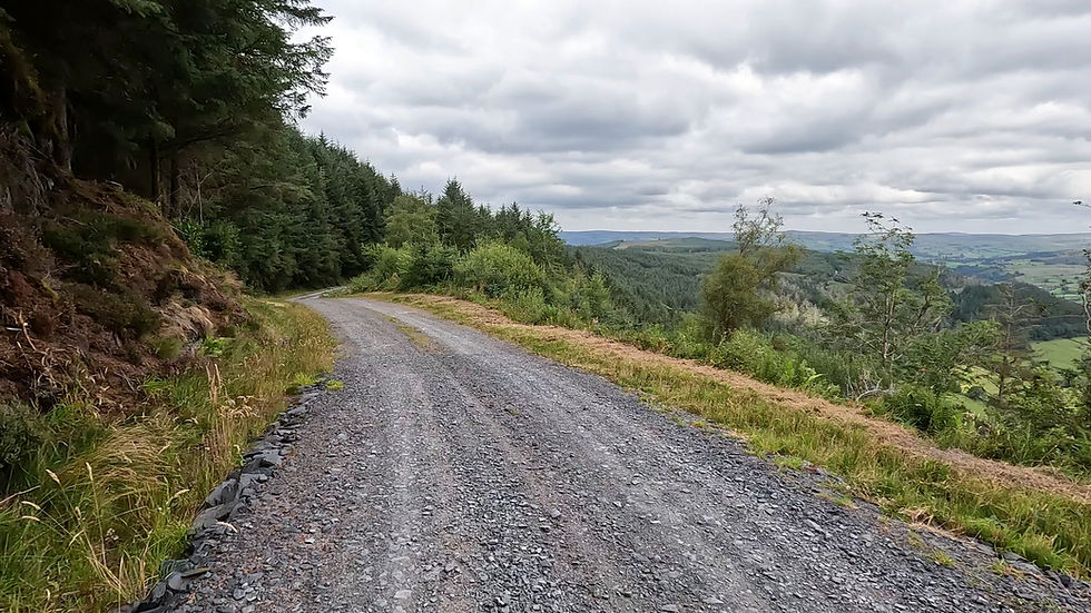 Gravel path curves through lush forest, overlooking rolling green hills under cloudy skies; peaceful and scenic landscape.
