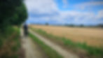 Cyclist rides on a dirt path beside a golden wheat field under a bright blue sky with clouds, surrounded by greenery, evoking tranquility.