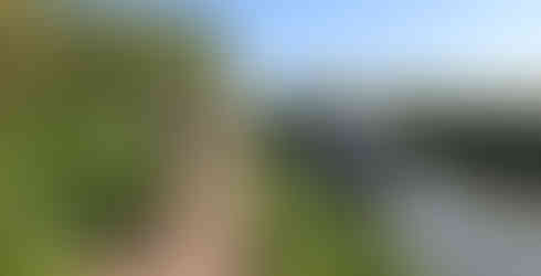 Cyclist rides along a canal path beside a blue and white boat. Lush greenery surrounds the sunny, peaceful scene.