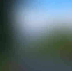 A road disappearing into the distance with trees and mountains in the distance