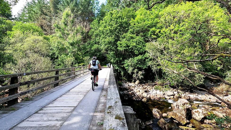Cyclist on a wooden bridge in a lush forest setting, with bright green trees and rocky stream below. Sunny day, creating a peaceful mood.