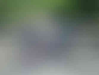 A red mountain bike loaded with gear is parked on a wooden bridge over a rocky stream, surrounded by lush greenery on a sunny day.