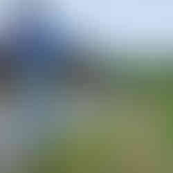 Cyclist rides on a rural road past a red brick barn and green fields. A signpost shows a bike route number 81. Sky is overcast.