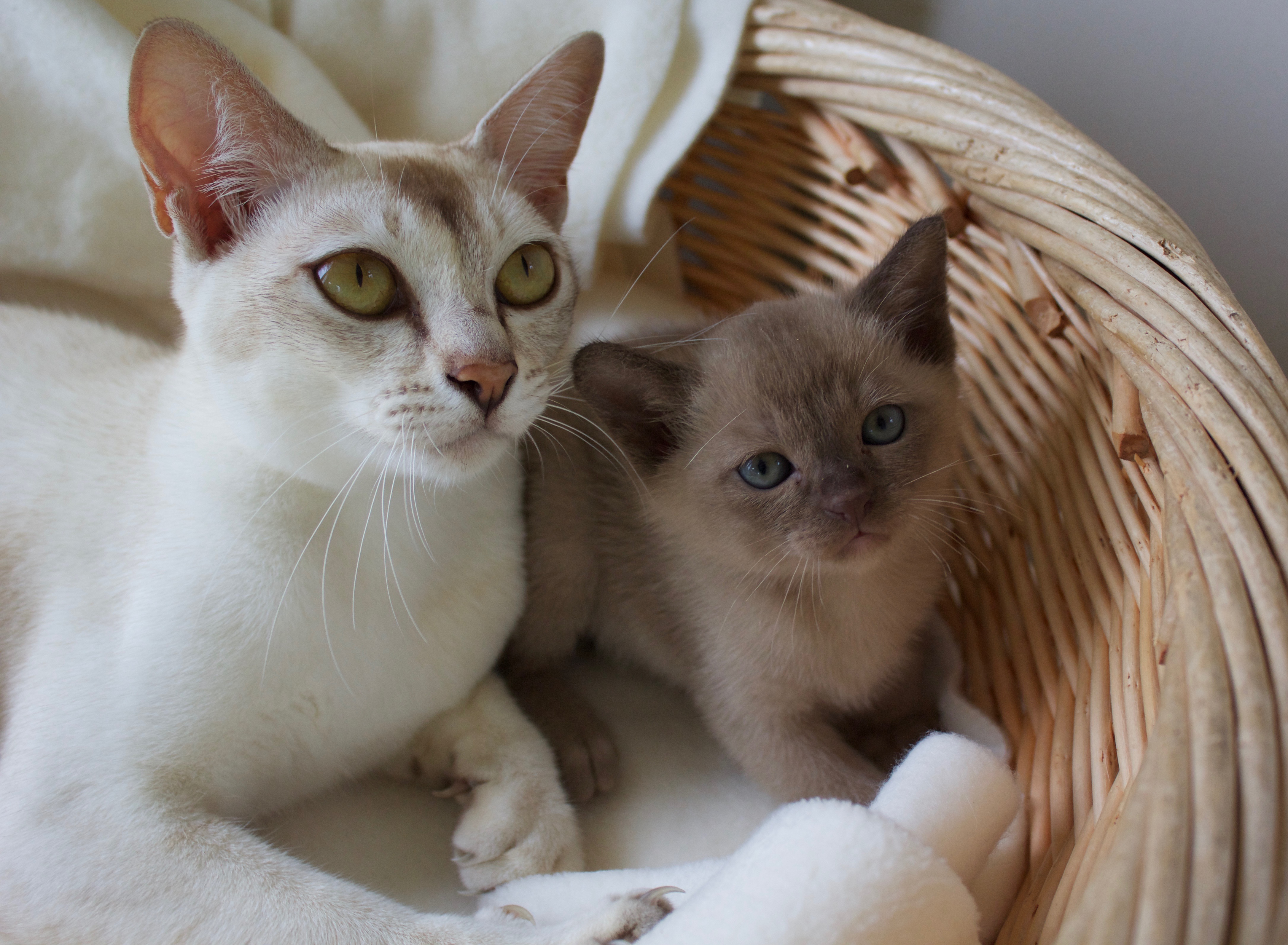 Lacey with first baby