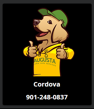 MEM Cordova.png