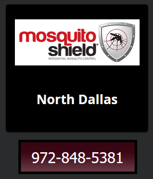 DFW N Dallas.png