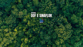 Acesso indisponível aos sistemas DOF e Sinaflor de 22 a 25/08
Os serviços deverão ser normalizados n