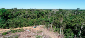 Aprovado projeto que prevê reposição florestal feita pela Fundação do Meio Ambiente de Roraima