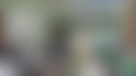 Encerrada Operação Cachoeira que combateu ilícitos ambientais em Uruará/PA