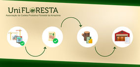 A importância do Documento de Origem Florestal (DOF)
