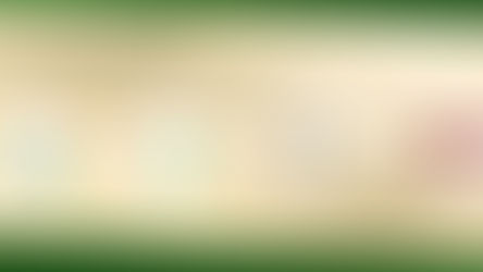 A importância do Documento de Origem Florestal (DOF)