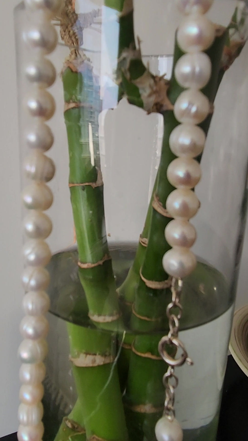 Miniatura: Conjunto Vilma