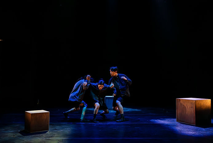 88) Motion Tribe (2).jpeg