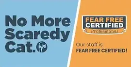 Fear Free Certified Pet Resort | Pittsburgh Pet Concierge - Luxury Pet Boarding