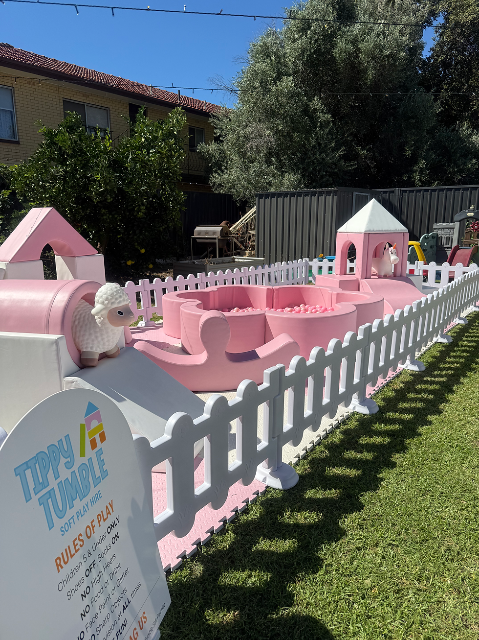 Soft Play Hire Adelaide: Why Choose Tippy Tumble?