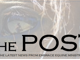 The POST: A New Monthly Newsletter!