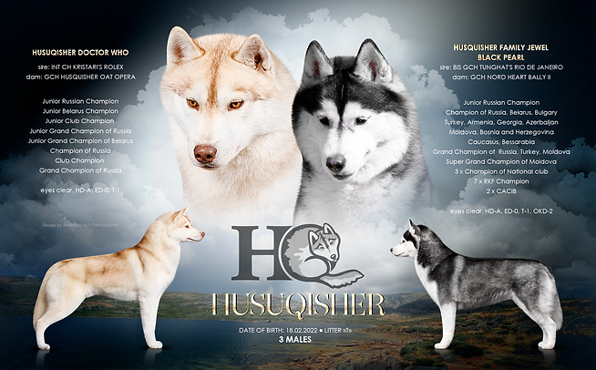 Husky56.png