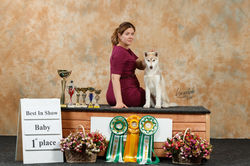 118275414_2990804841047432_3522724187699