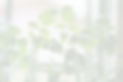 Executive Assistant Agency