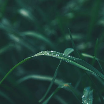 struggle to grow