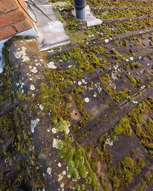 IMG_20241223_151131_016