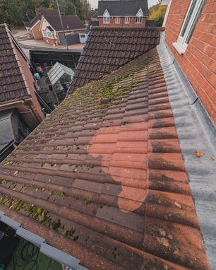 IMG_20241028_172751_219