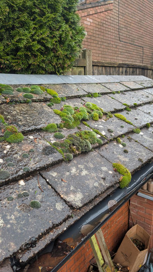 PXL_20241205_103058974