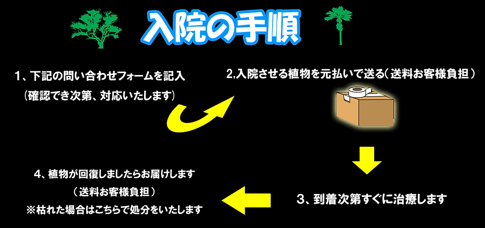 植物を入院させる手順