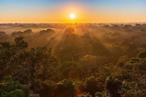 sunset 1.jpg